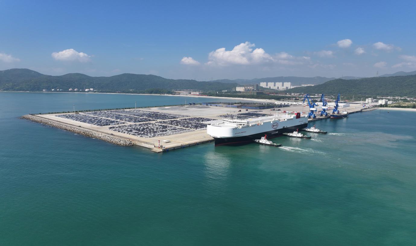 W020241108402852454995