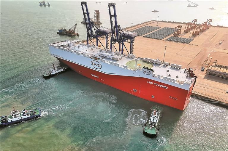 W020260203660542078177